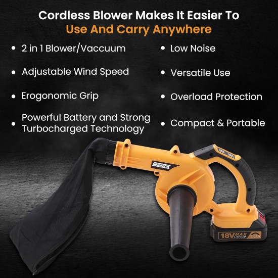 CORDLESS BOLWER 21V 2İN1