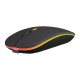 Everest SMW-710 USB 2.4ghz Siyah RGB Ledli 800/1200/1600DPI Şarjlı Kablosuz Mouse